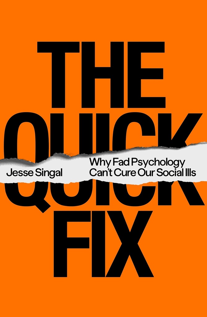 The Quick Fix (International Edition)