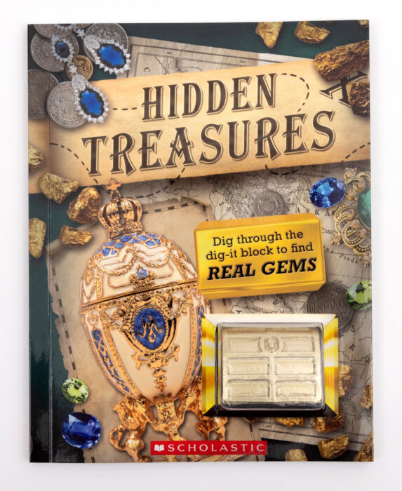 Hidden Treasures Activity Book
