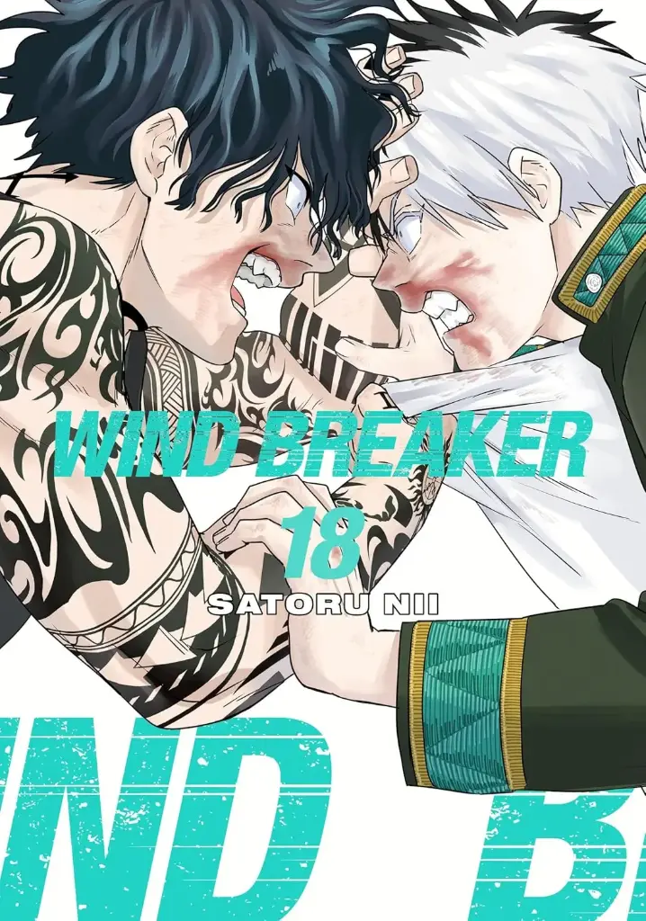 WIND BREAKER, Volume 18