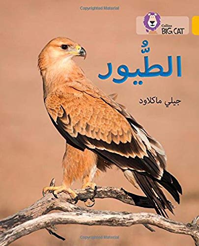 بيج كات المستوى9 الطيور