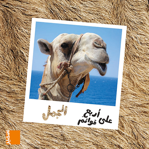 على أربع قوائم الجمل