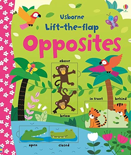 Lift-The-Flap: Opposites