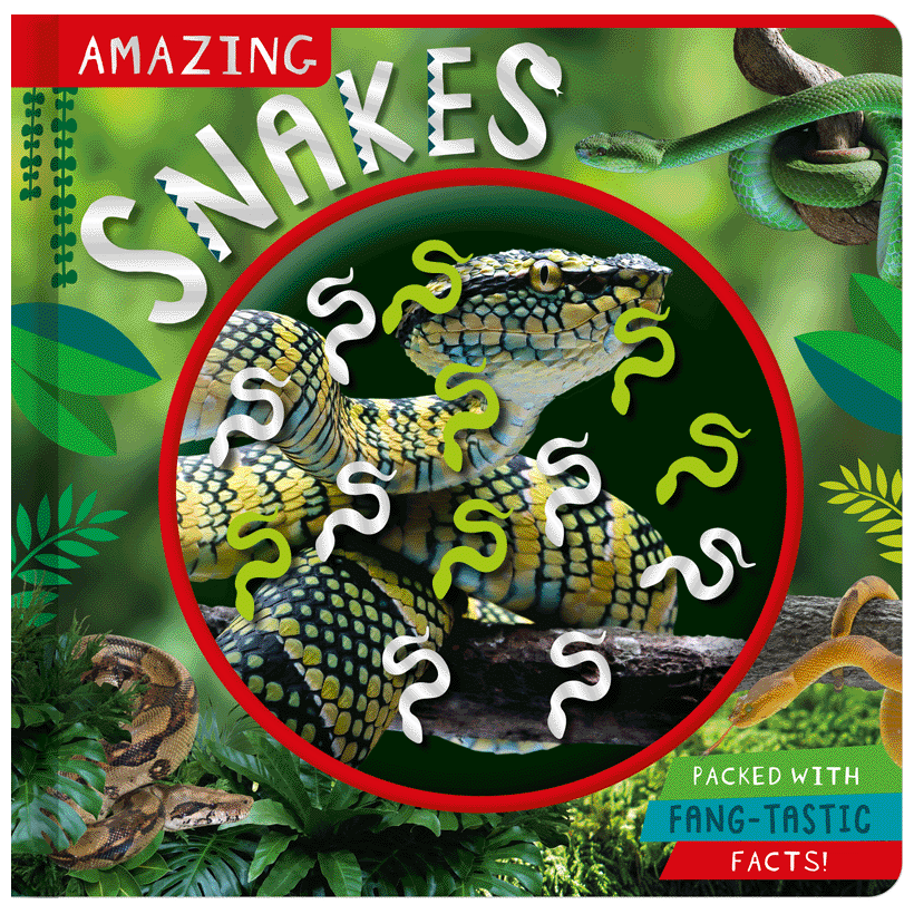 [9781805443926] Amazing Snakes