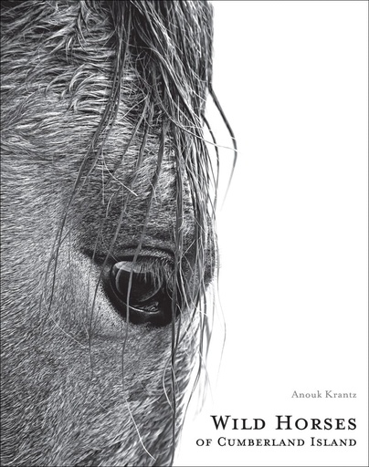 [9781864708851] Wild Horses of Cumberland Island (Anouk Masson Krantz) 
