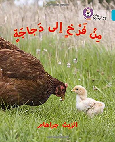 [9780008185626] بيج كات المستوى7 من فراخ إلى دجاجة