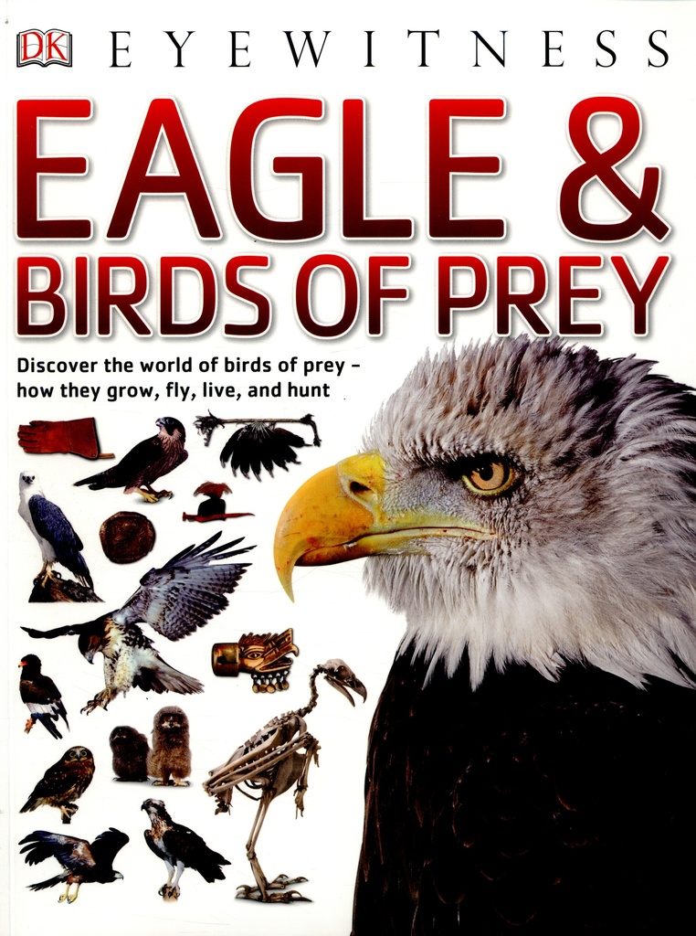 Eagle & Birds of Prey