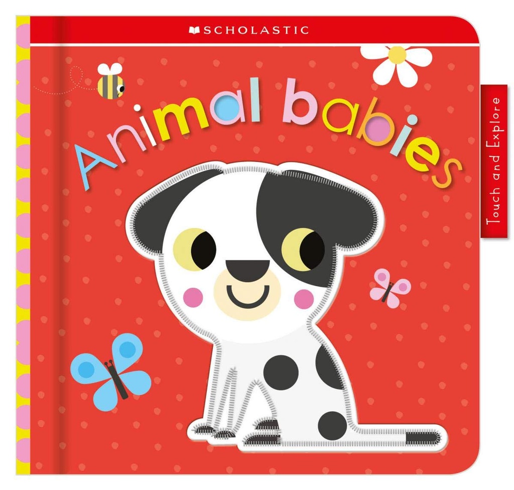 Baby Animals