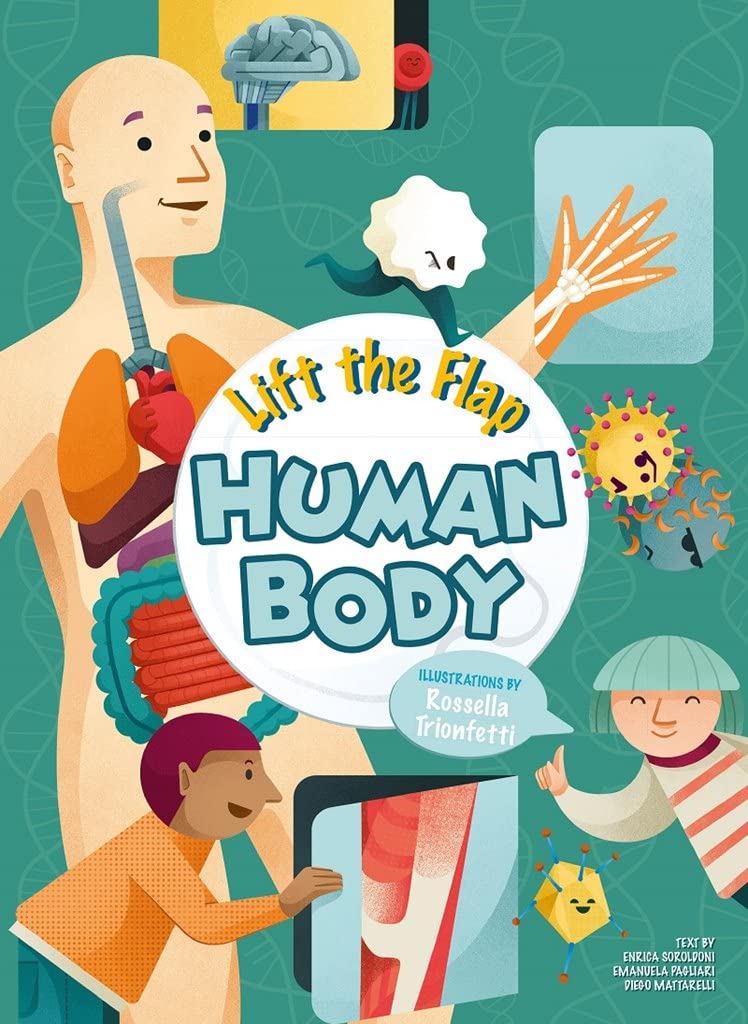 Lift The Flap - The Human Body