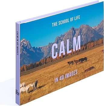 Calm in 40 Images