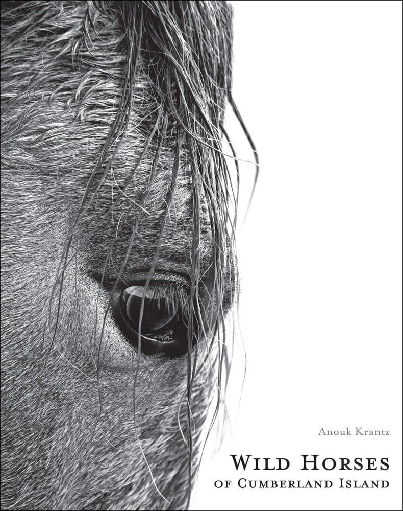 Wild Horses of Cumberland Island (Anouk Masson Krantz) 