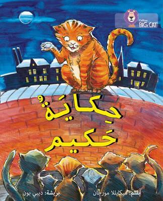 بيج كات المستوى 13 حكاية حكيم