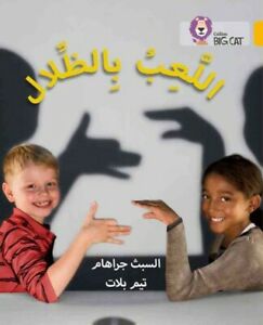 بيج كات المستوى9 اللعب بالظلال