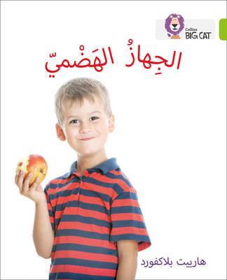 بيج كات المستوى 11 الجهاز الهضمي