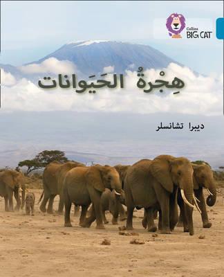 بيج كات المستوى 13 هجرة الحيوانات