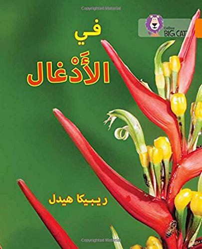 بيج كات المستوى6 في الأدغال