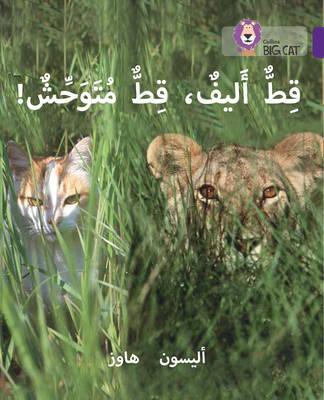 بيج كات المستوى8 قط أليف قط متوحش