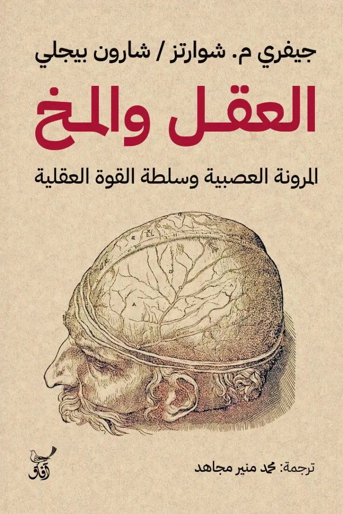 العقل والمخ
