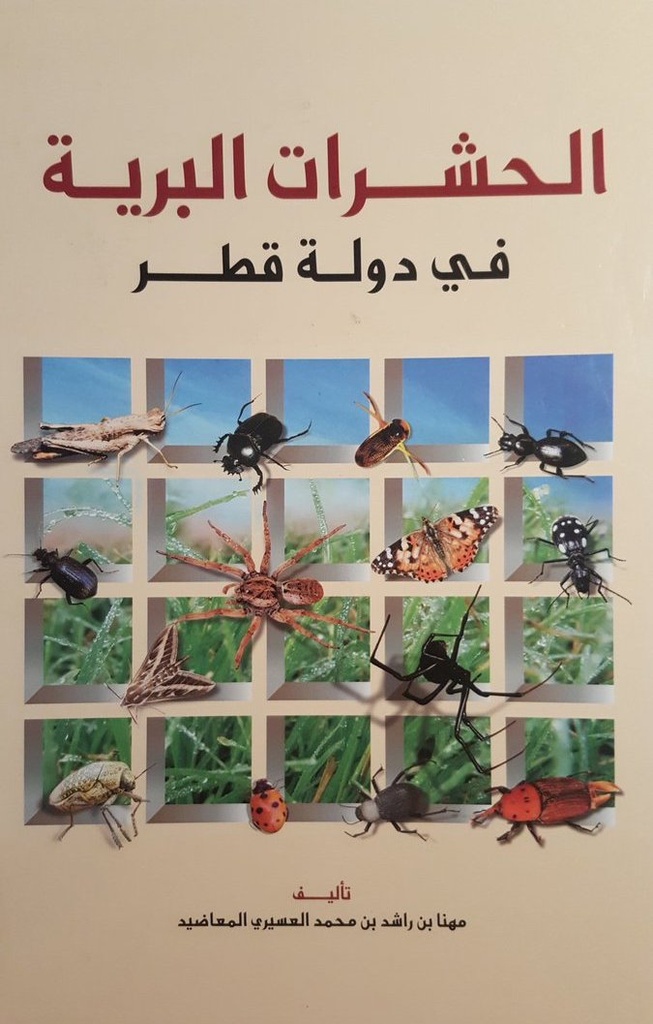 الحشرات البرية في دولة قطر