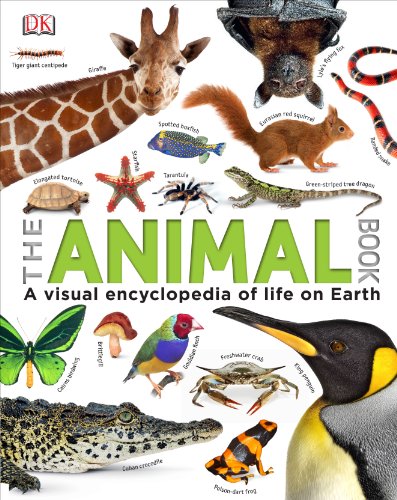 [9781409323495] Animal Book