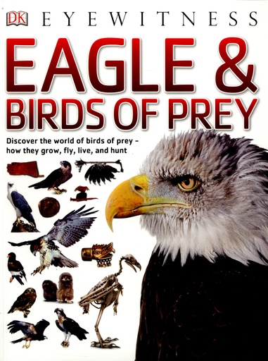 [9780241258835] Eagle & Birds of Prey