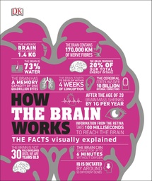 [9780241403372] How the Brain Works