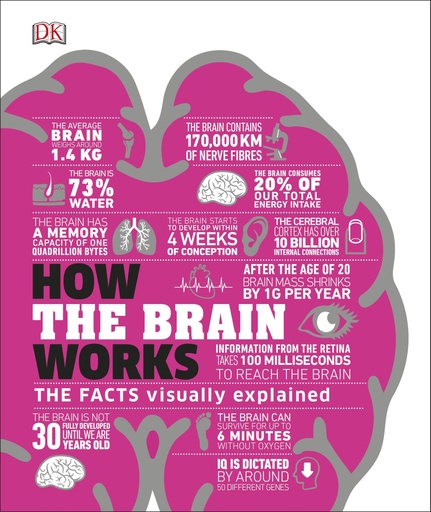 [9780241403372] How the Brain Works