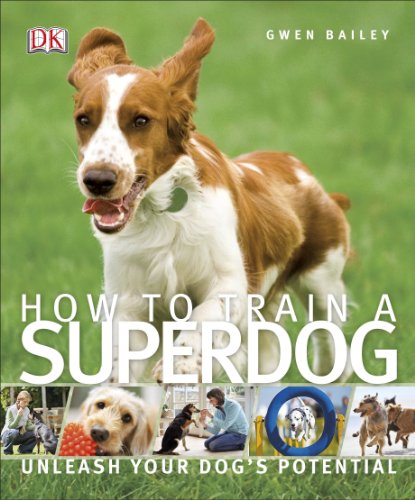 [9781409349808] How To Train A Superdog