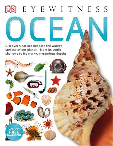[9780241384107] Ocean (DK Eyewitness)