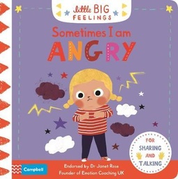 [9781529029802] Sometimes I Am Angry