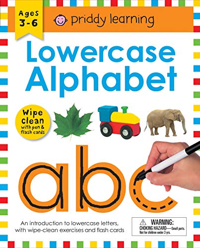 [9780312525804] Wipe Clean Workbook: Lowercase Alphabet