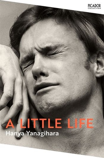 [9781529077216] A Little Life