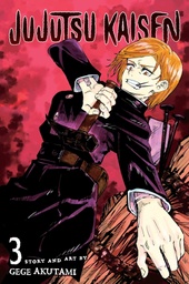 [9781974710041] Jujutsu Kaisen, Vol. 3