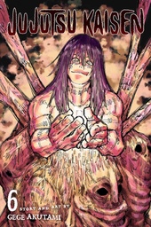 [9781974714827] Jujutsu Kaisen, Vol. 6