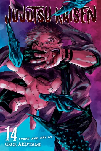[9781974725328] Jujutsu Kaisen, Vol. 14 