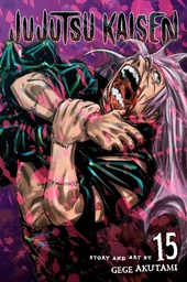 [9781974727100] Jujutsu Kaisen, Vol. 15