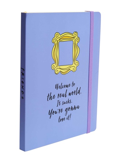 [9781647222116] Friends: Yellow Frame Softcover Notebook 