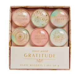 [9781647221874] Gratitude Glass Magnet Set (Set of 6)