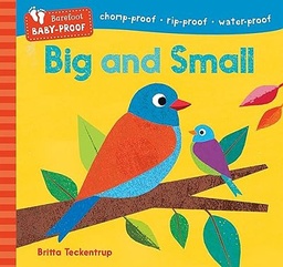 [9798888593110] Big and Small