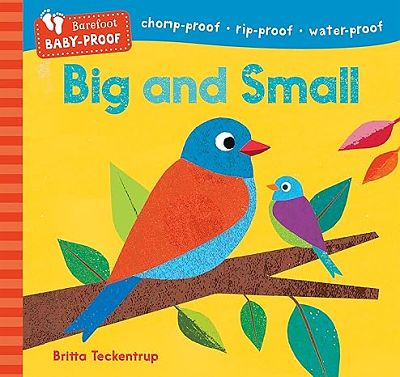 [9798888593110] Big and Small