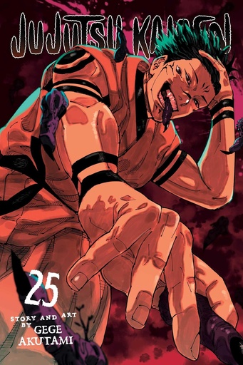 [9781974751884] Jujutsu Kaisen, Vol. 25
