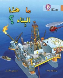[9780008185725] بيج كات المستوى 12 ما هذا البناء؟