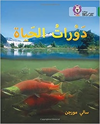 [9780008131548] بيج كات المستوى 15 دورات الحياة