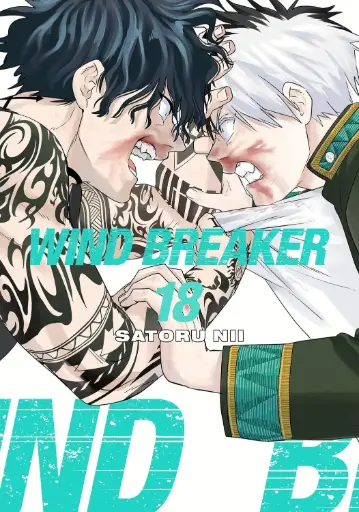 [9781646519651] WIND BREAKER, Volume 18