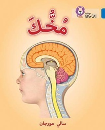 [9780008156725] بيج كات المستوى 16 مخك