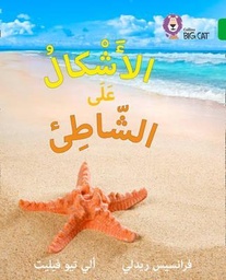 [9780008156411] بيج كات المستوى5 الأشكال على الشاطئ