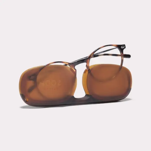 [5425039448381] Nooz Reading Essential Cruz Tortoise +2.5